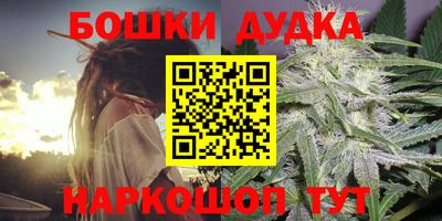 гидра Беслан