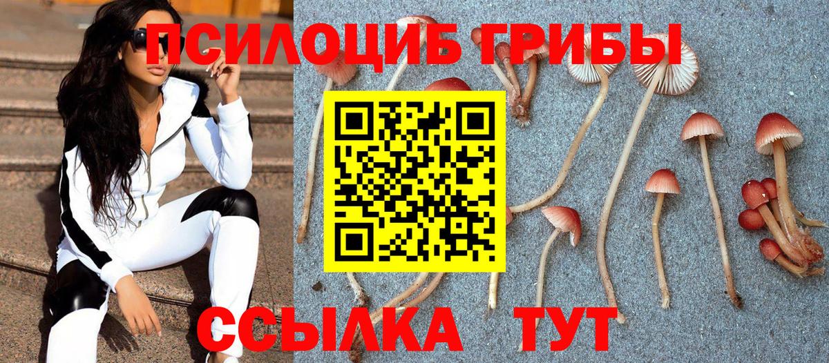 Псилоцибиновые грибы мицелий Ижевск
