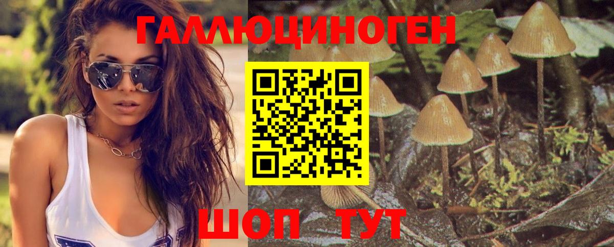 Псилоцибиновые грибы MAGIC MUSHROOMS  Ижевск  Галлюциногенные грибы мухоморы 